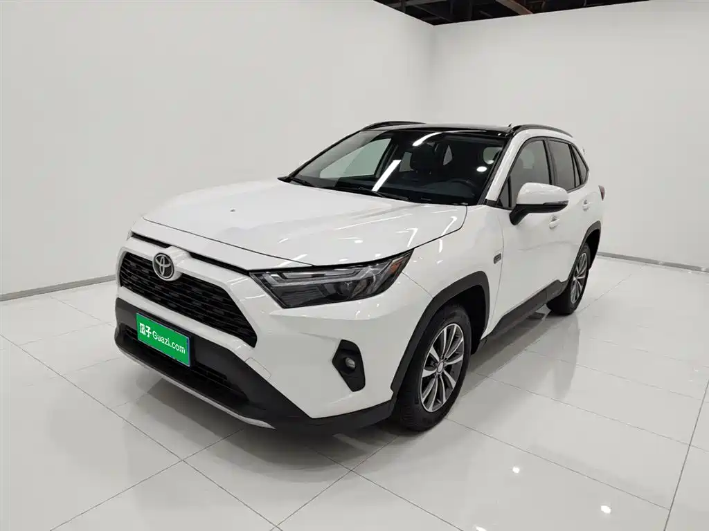 Toyota RAV4 Rongfang 2023 2.0L CVT 2WD 20th Anniversary Platinum Edition