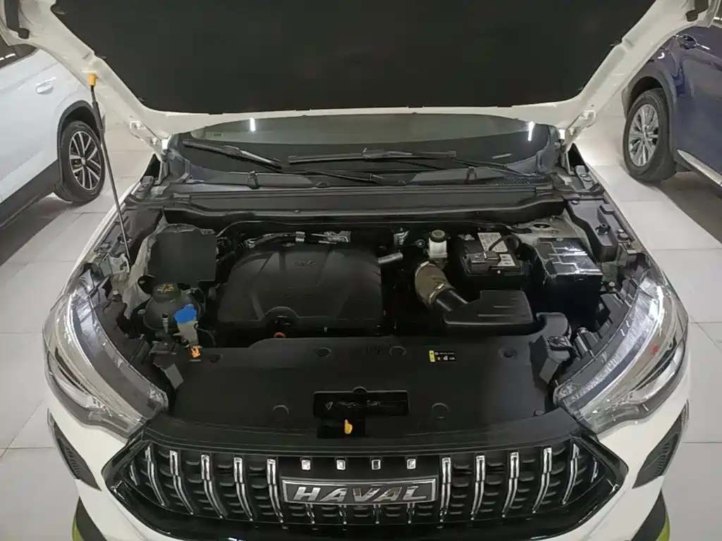 Haval Chitu 2022 2022 Power Edition 1.5T Purple Copper Rabbit