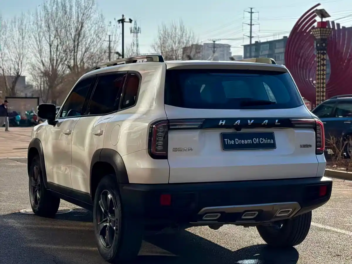 HAVAL BIG DOG