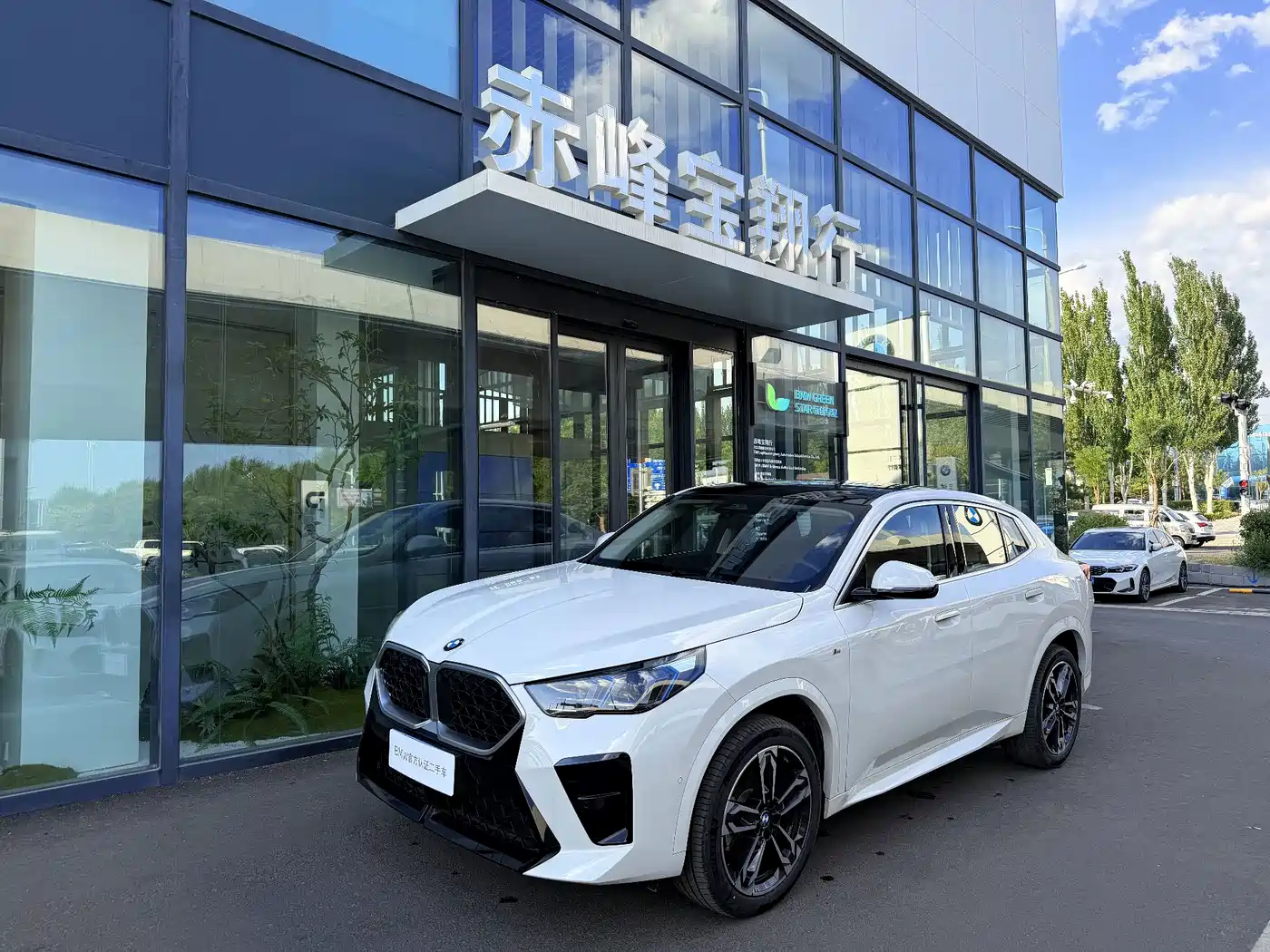 BMW X2 (Import) 2025 2024 xDrive25i M Sport Shadowline Package