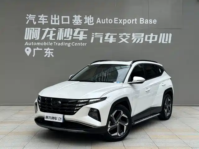 Hyundai Tucson Hyundai Tucson, L 1.5T, автомат, моноприводный, DLX, Люкс