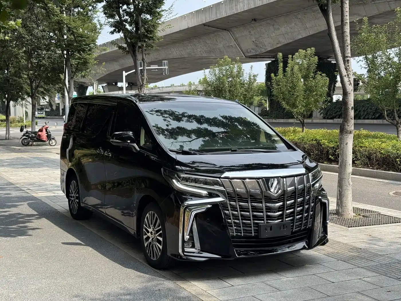 Фото 3 - Toyota Alphard