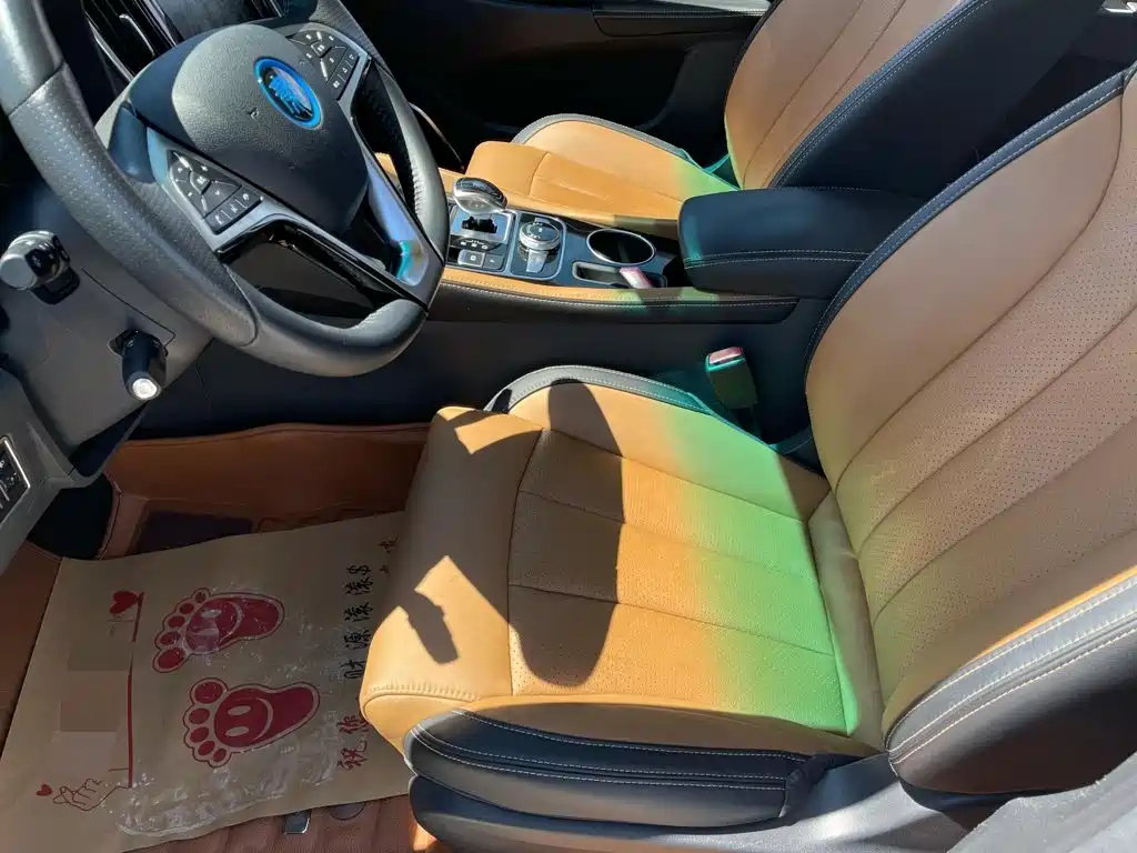 BYD Qin New Energy 2018 2018 Qin EV450 Smart Connected Premium Edition