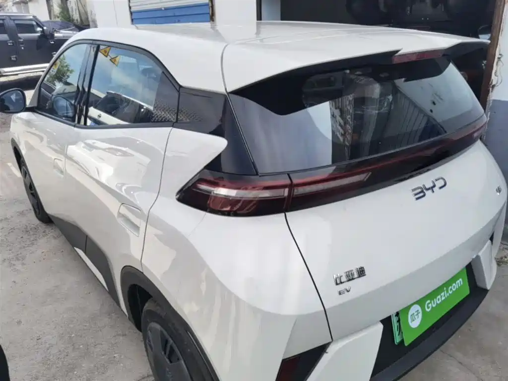 BYD Seagull 2025 Smart Drive Edition 305km Vitality Version фото 5