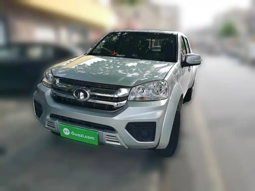 2023 Great Wall Fengjun 5
