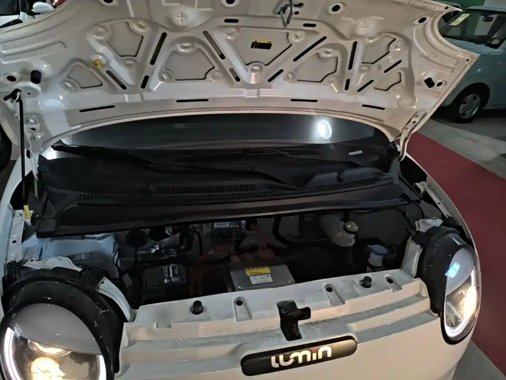 Changan Lumin 2025 2025 205km Fragrant Infusion Edition