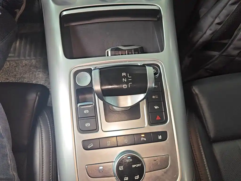Denza X 2022 2020 Model PHEV Flagship Edition