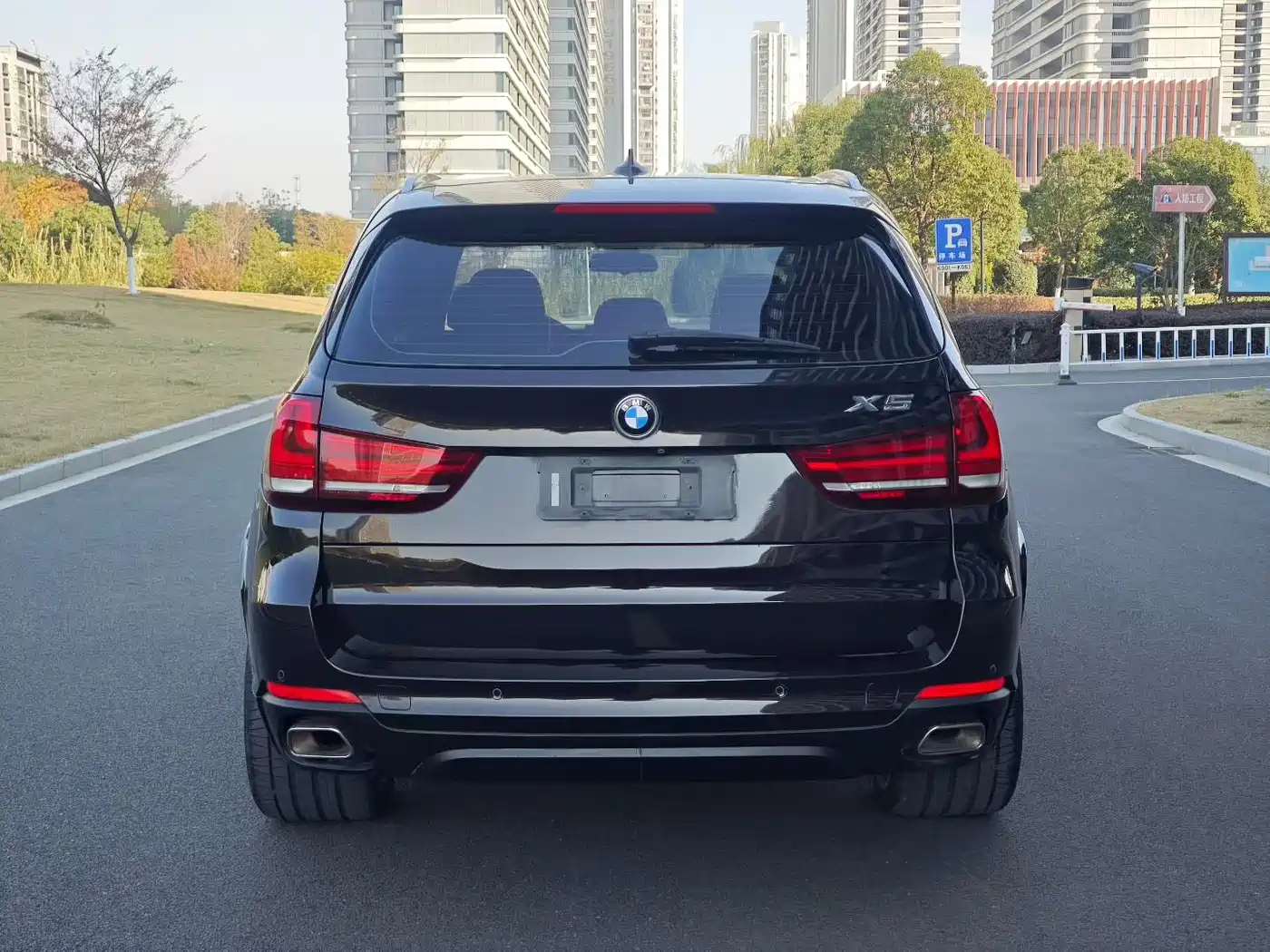 BMW X5 (Import) 2014 xDrive35i Leading фото 4