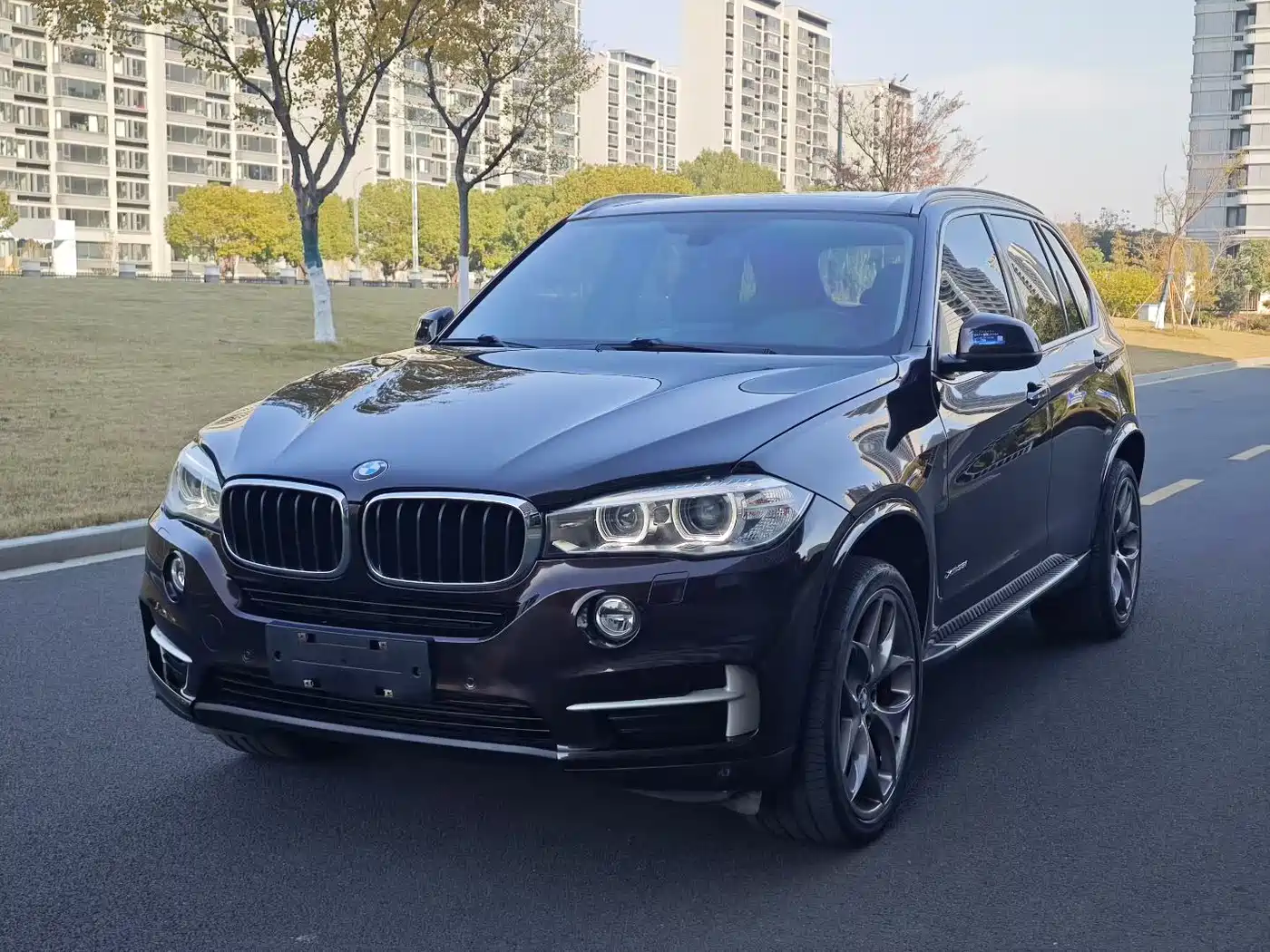 BMW X5 (Import) 2014 xDrive35i Leading