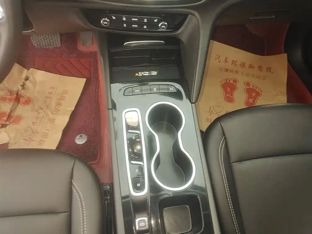 Buick Regal 2024 25T Ultra Comfort Edition фото 14