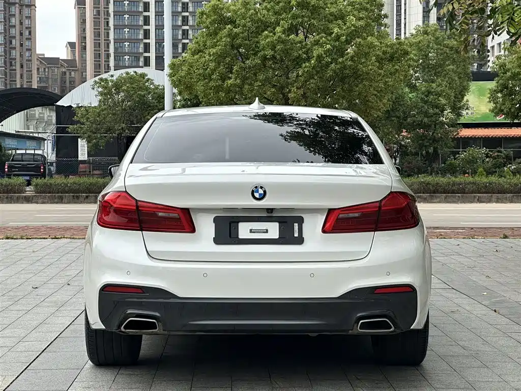 BMW 5 Series 2020 530Li Exclusive M Sport Package фото 7