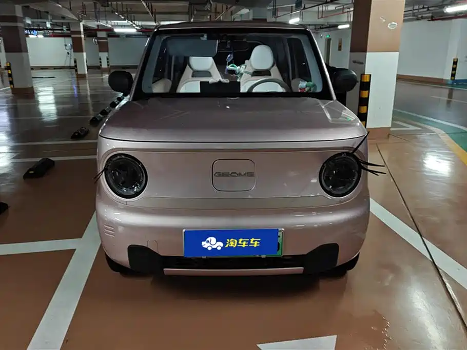 Geely Galaxy Panda 2023 Panda Mini 200km Endurance Bear фото 2