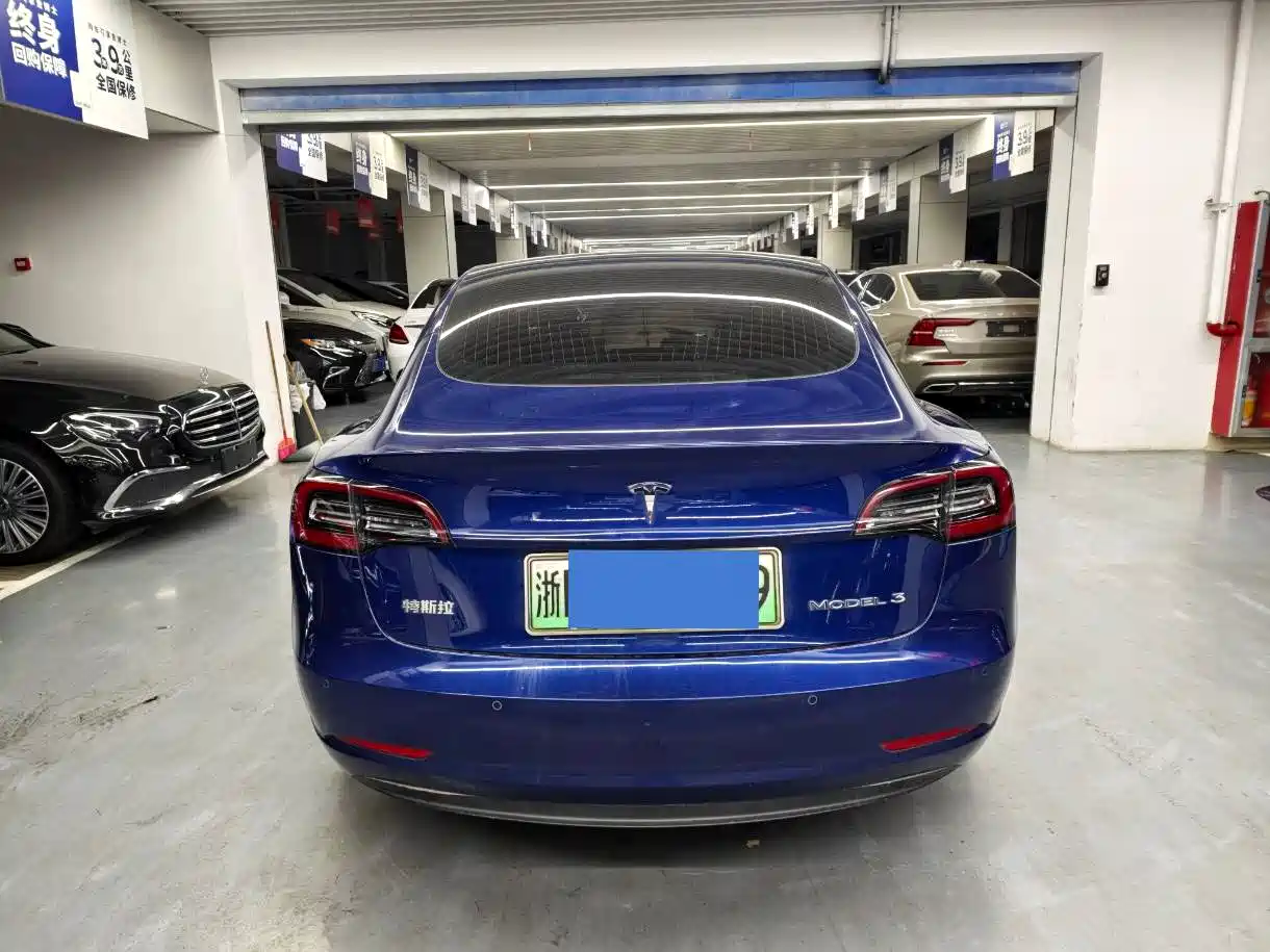 Tesla Model 3 2020 Standard Range Rear-Wheel Drive Upgrade фото 9