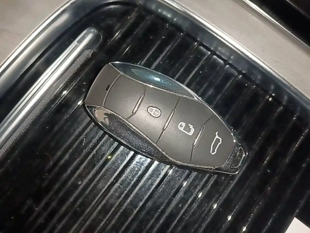 Hongqi HQ9 PHEV 2024 2024 Model 2.0T AWD Business Edition