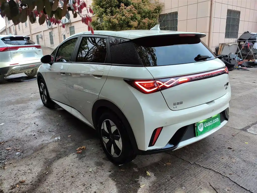 BYD Dolphin 2024 Glory Edition 420km Fashion Edition фото 5