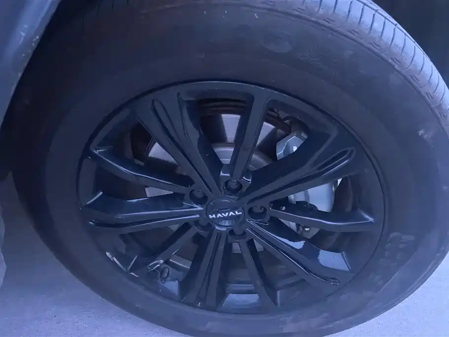 HAVAL RAPTORS NEW ENERGY