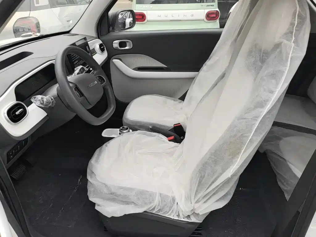 Geely Galaxy Panda 2026 2025 Panda mini 210km Vitality Bear