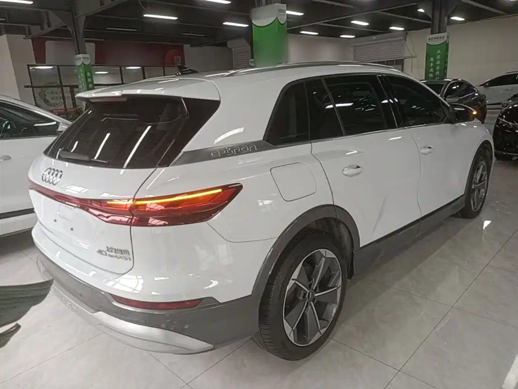 Audi Q5 e-tron 2022 40 e-tron Starlight Edition Brocade Package фото 7