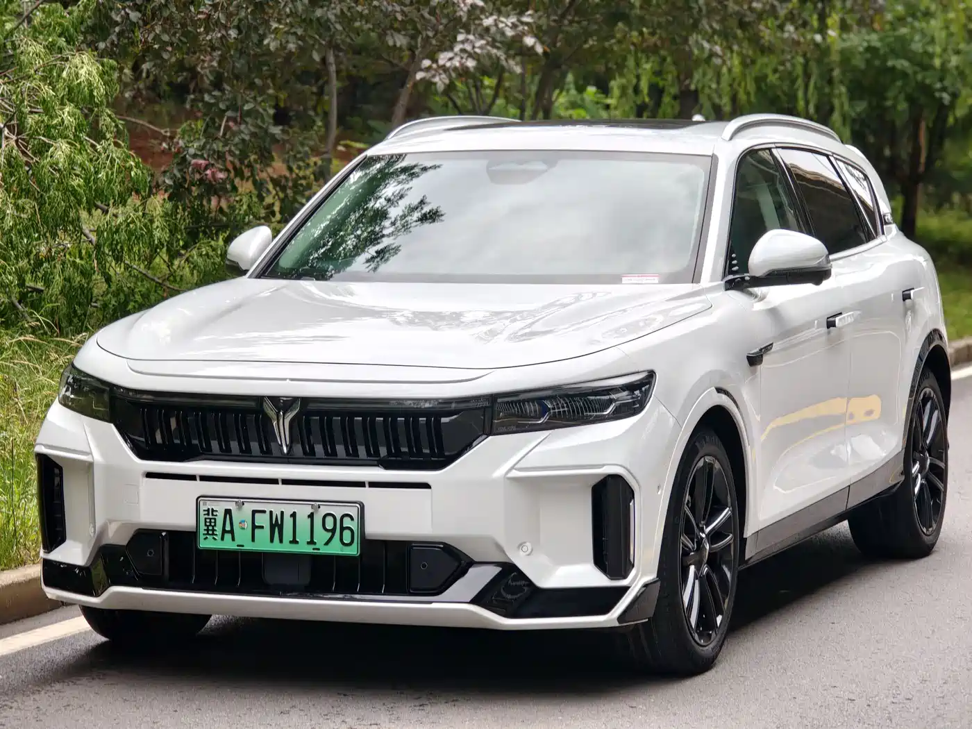 Voyah Auto VOYAH FREE 2024 Ultra Long Range Intelligent Driving Edition фото 2