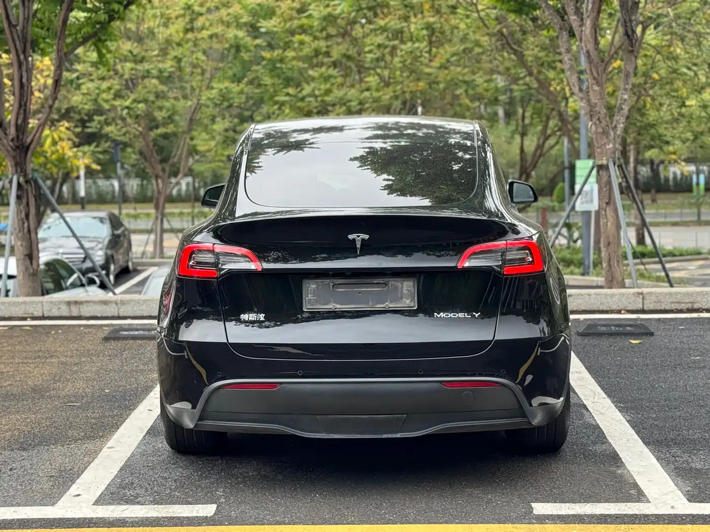 TESLA MODEL Y