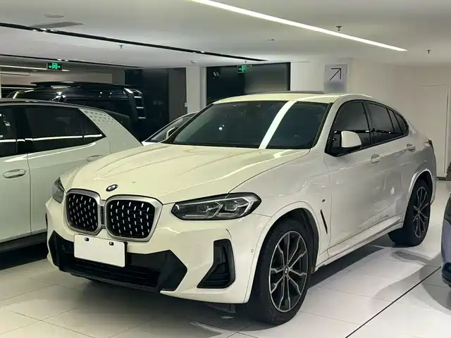  BMW BMW X4 2022 xDrive 30i M Sport Package