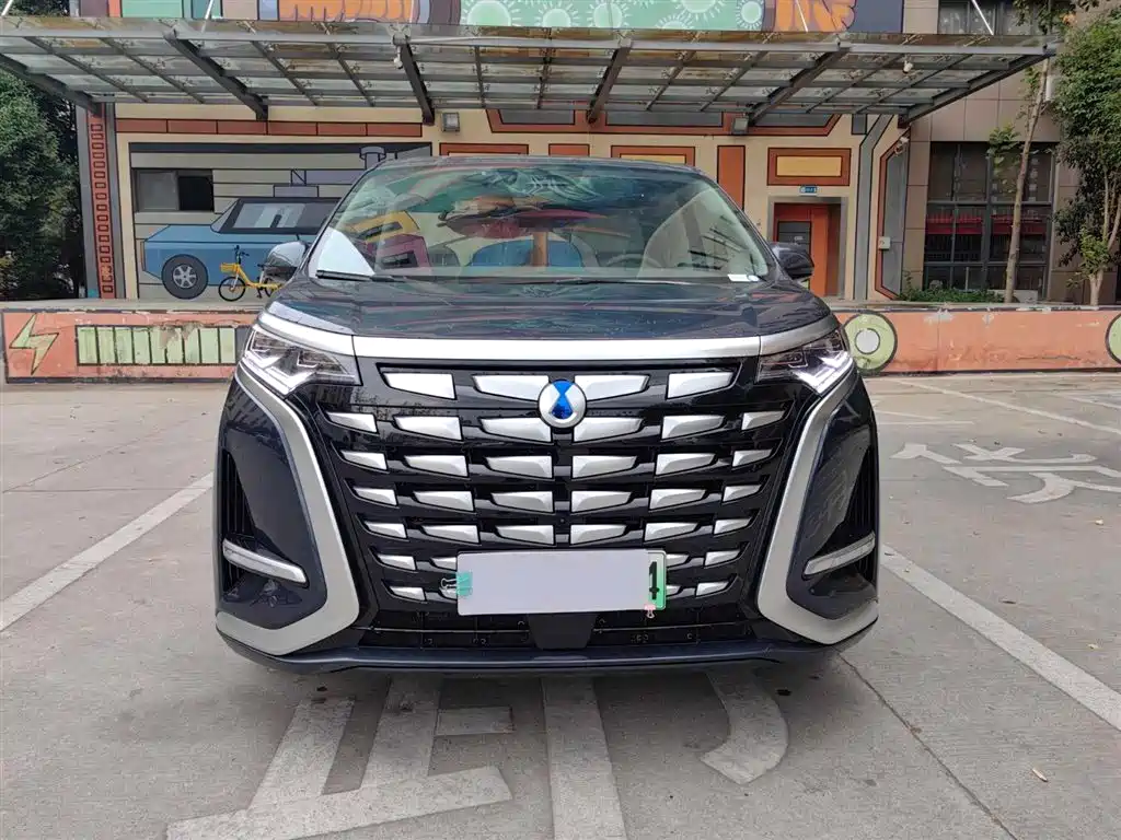 Denza D9 2022 DM-i 1040 Premium фото 2