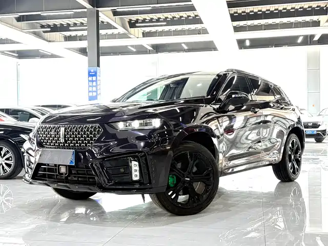 WEI PAI WEI BRAND VV7