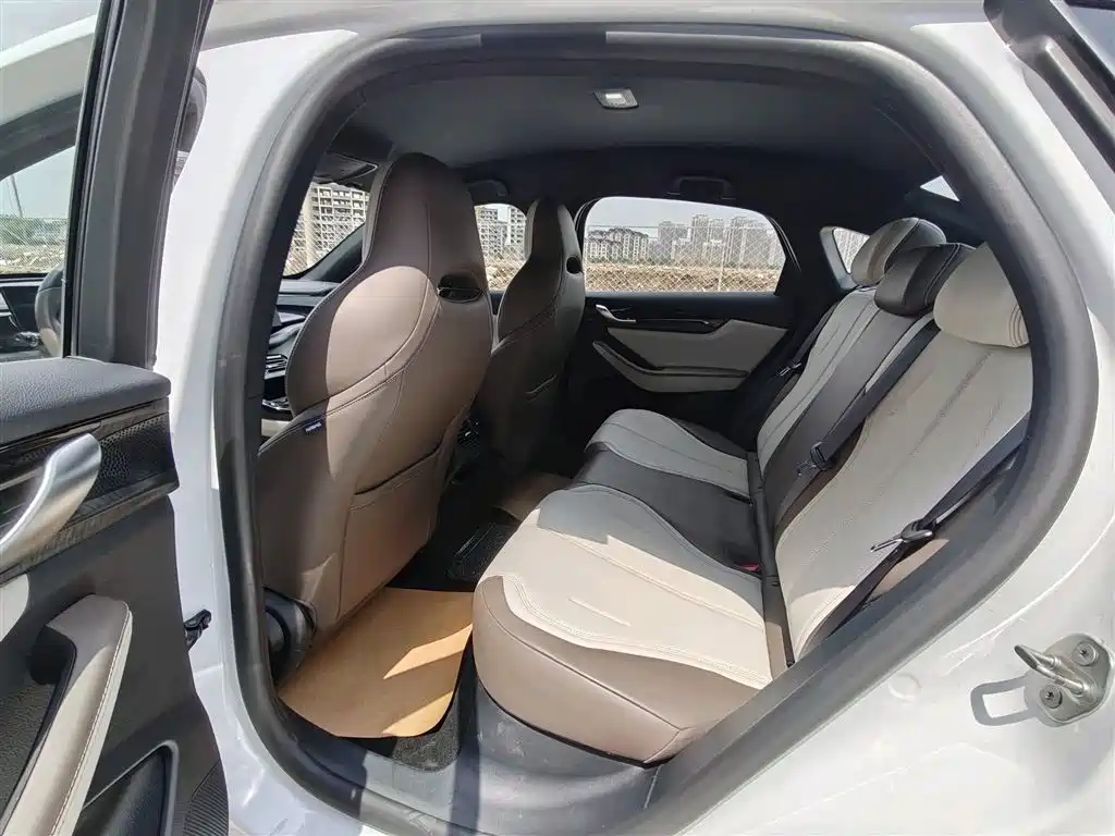 BYD Qin PLUS 2024 Glory Edition DM-i 55KM Leading фото 8