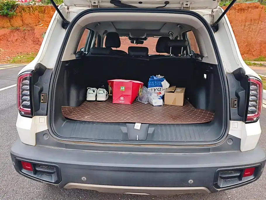Haval Big Dog 2021 1.5T DCT 2WD Labrador Edition фото 4