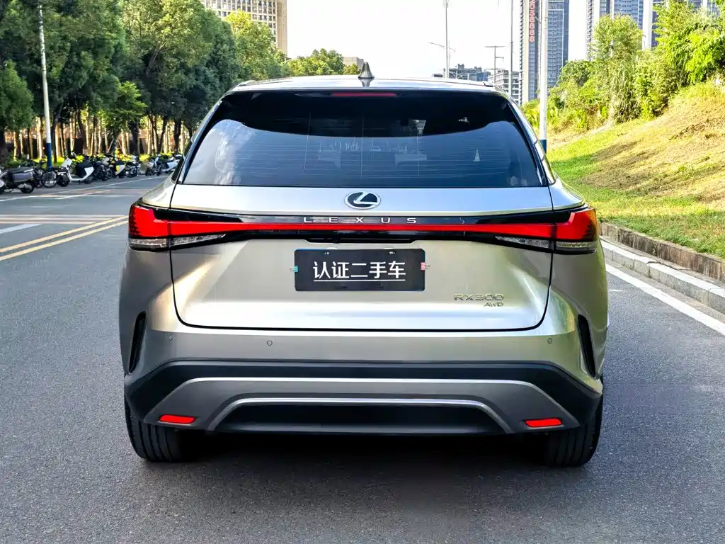 Фото 6 - Lexus RX