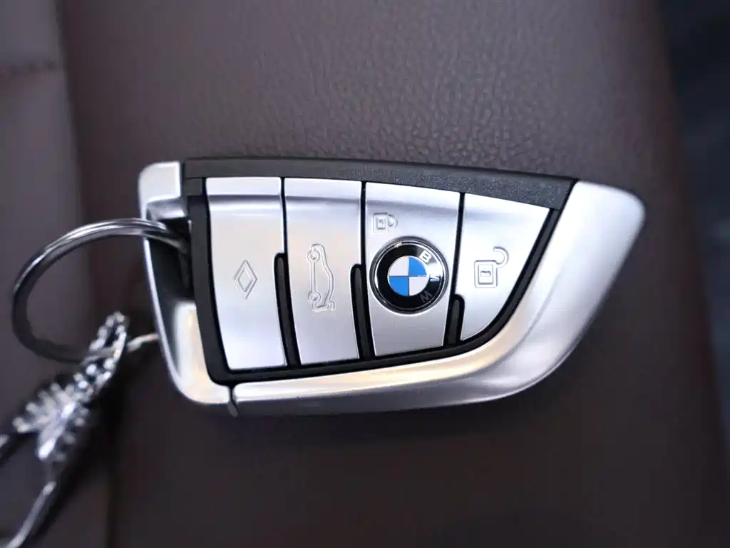 BMW 5 Series 2020 525Li M Sport Package фото 24