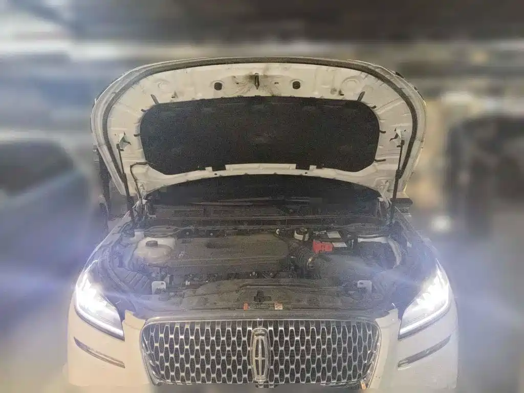 Фото 3 - Lincoln Adventurer