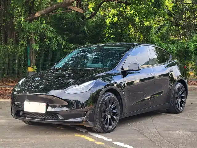 Tesla Model Y Задний привод