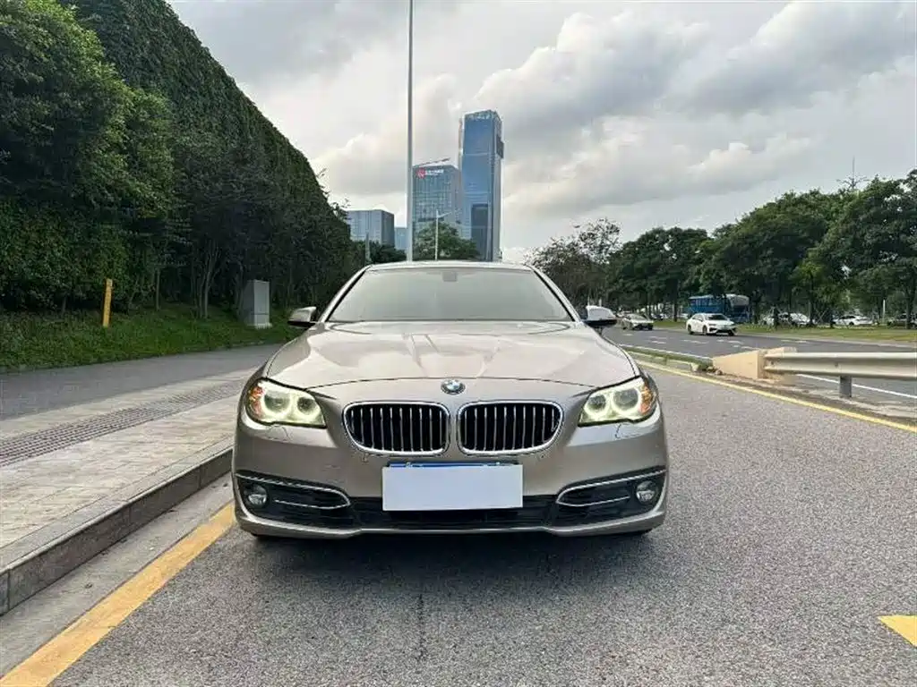 BMW 5 Series 2014 525Li Luxury Design Package фото 2
