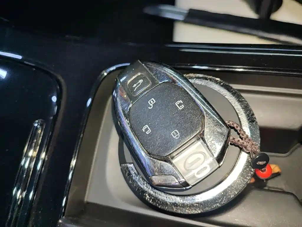 GAC Trumpchi Trumpchi M8 2023 Master Series Dual Hybrid Flagship Edition фото 9