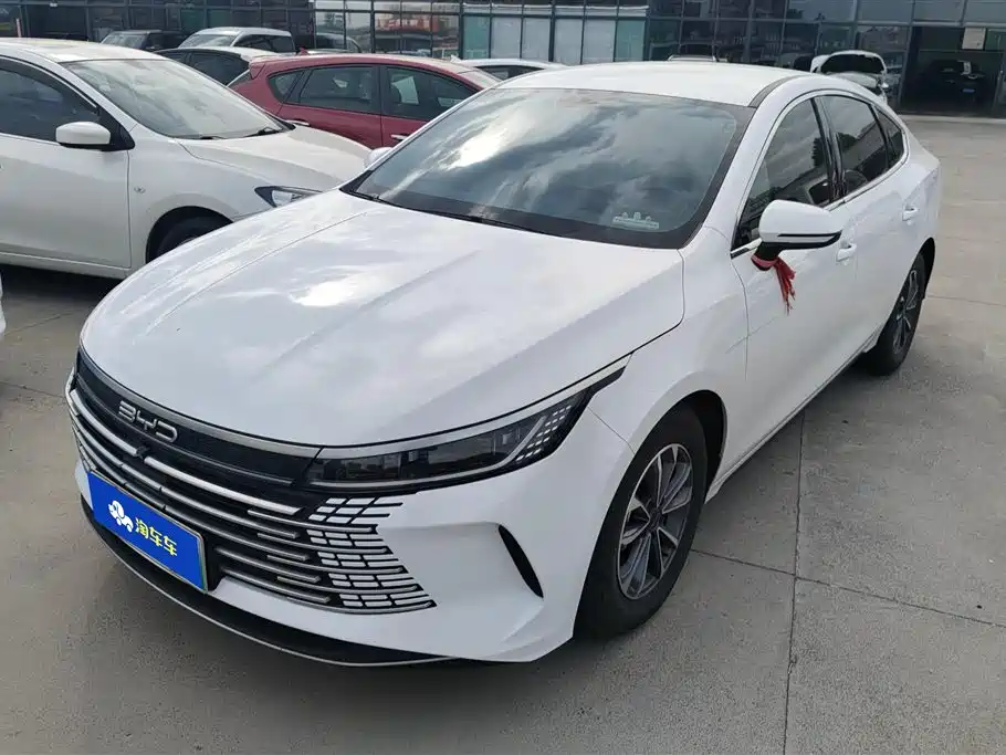BYD Destroyer 05 2024 Glory Edition DM-i 55KM Luxury