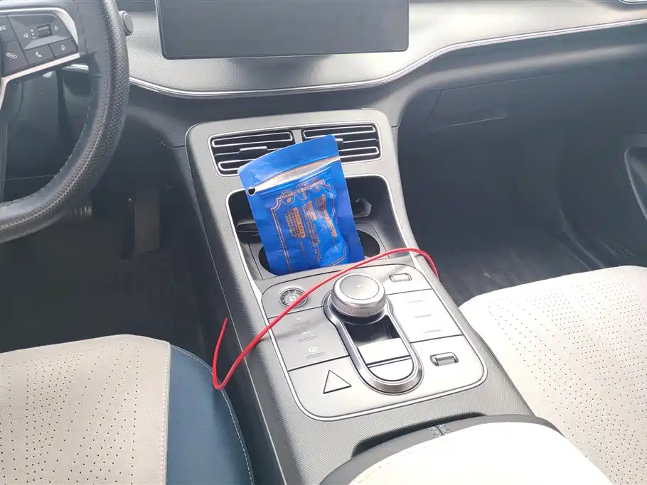 BYD Destroyer 05 2024 Glory Edition DM-i 55KM Luxury фото 16