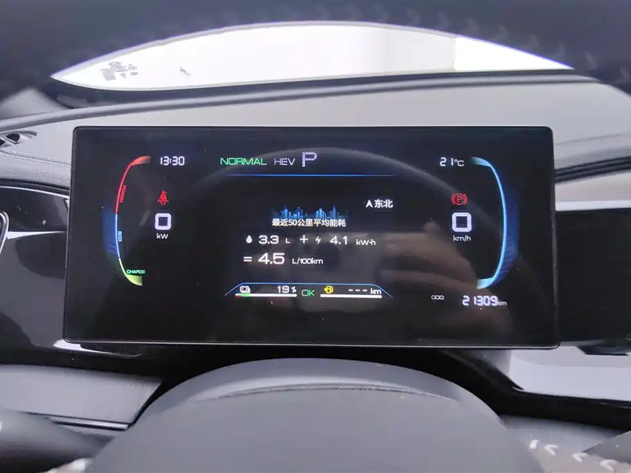 BYD Qin PLUS 2024 Glory Edition DM-i 55KM Leading фото 14