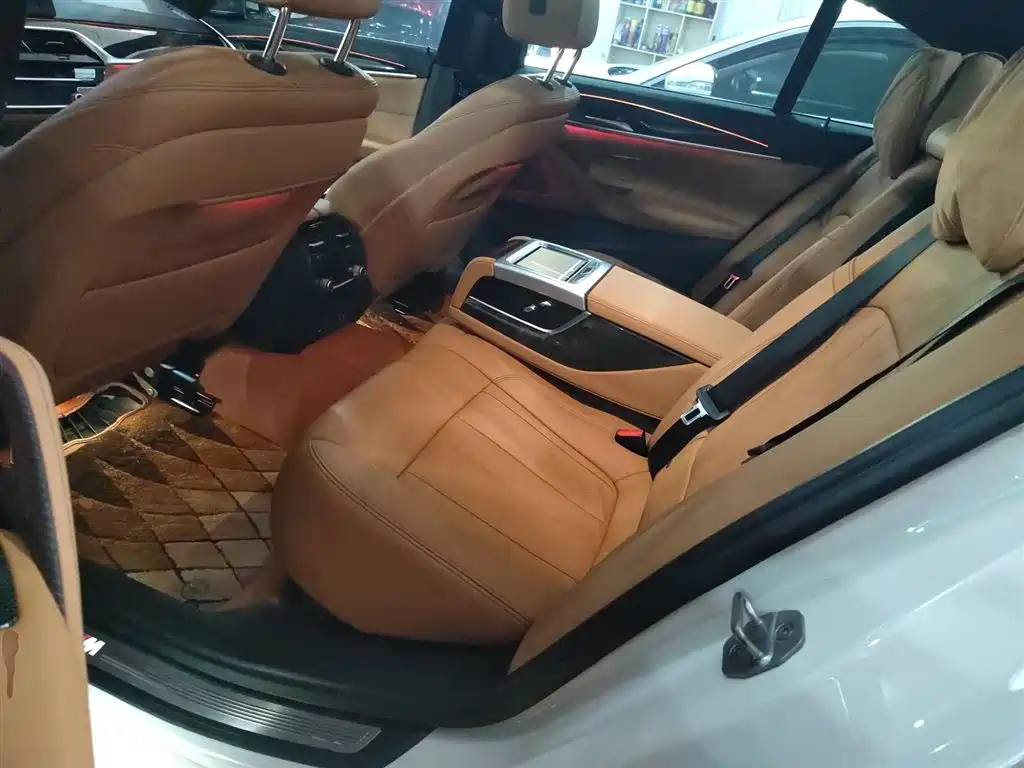 BMW 5 Series 2020 530Li Exclusive M Sport Package фото 17