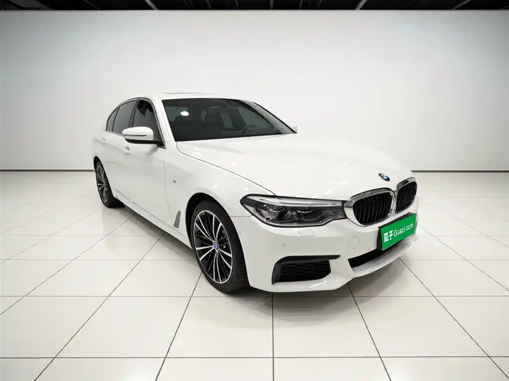 BMW 5 Series 2020 530Li Exclusive M Sport Package фото 4