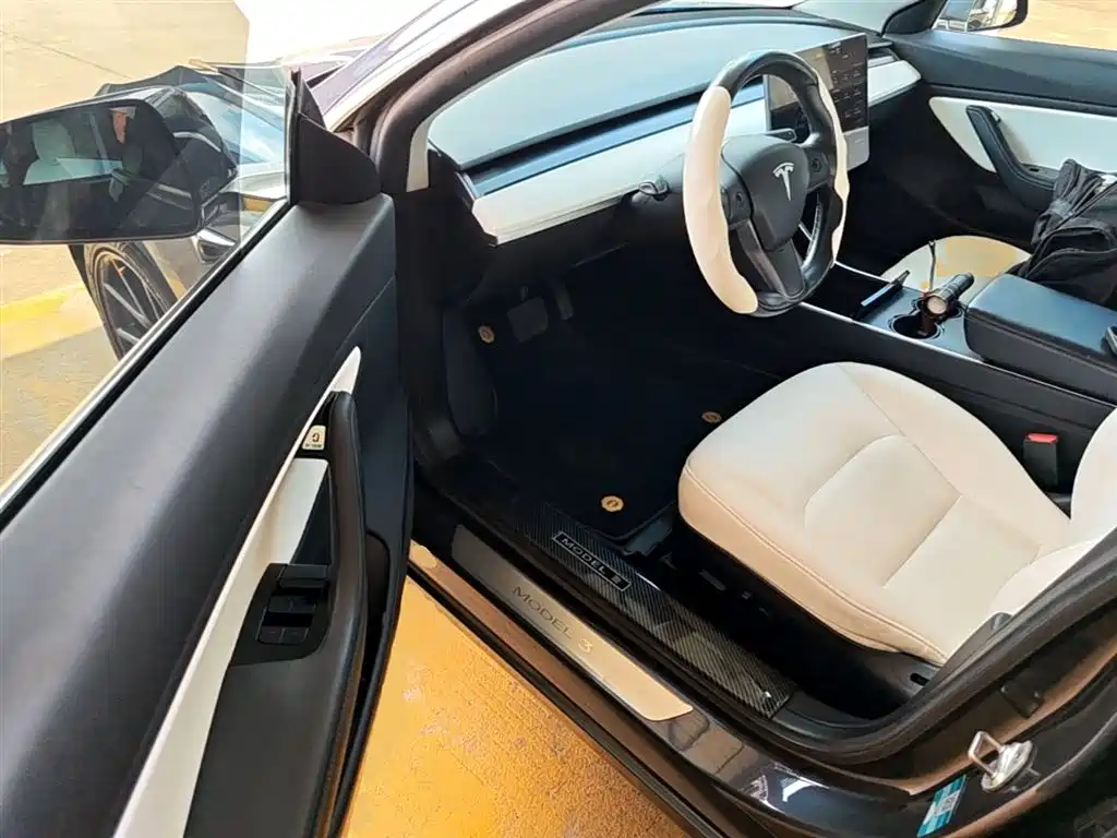 TESLA MODEL 3 (IMPORTED)