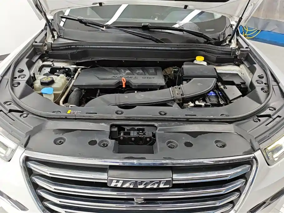 Haval H6 2020 1.5GDIT Automatic Platinum Champion Edition фото 10