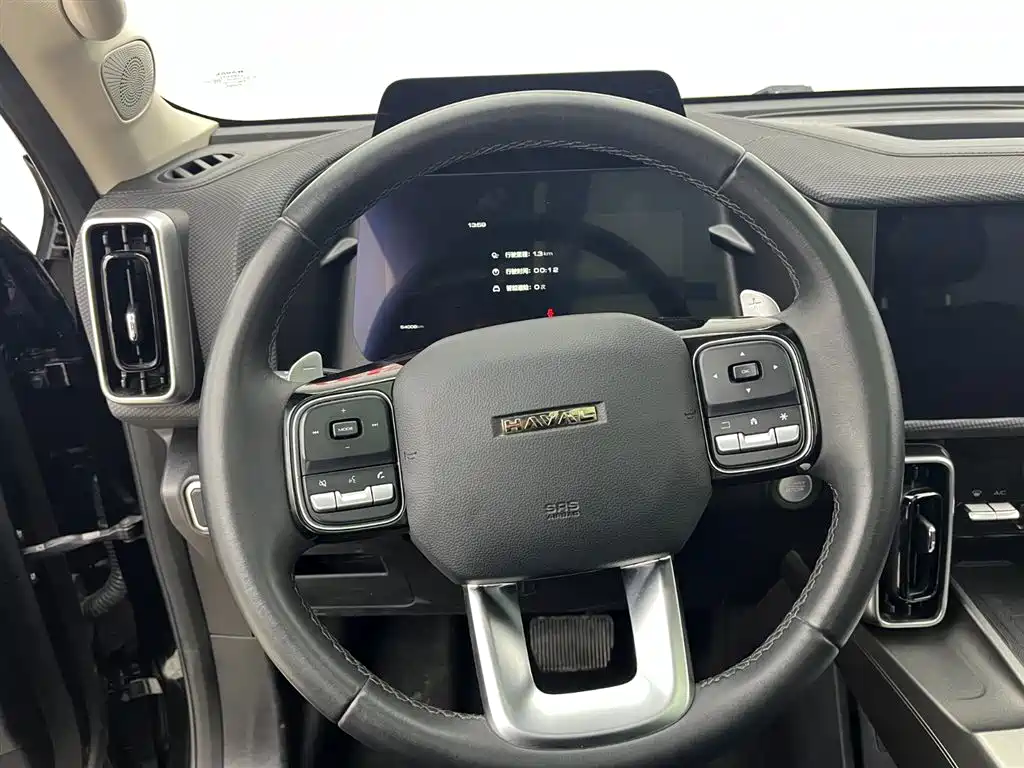 Haval Big Dog 2024 2.0T DCT Chinese Rural Dog Edition фото 8