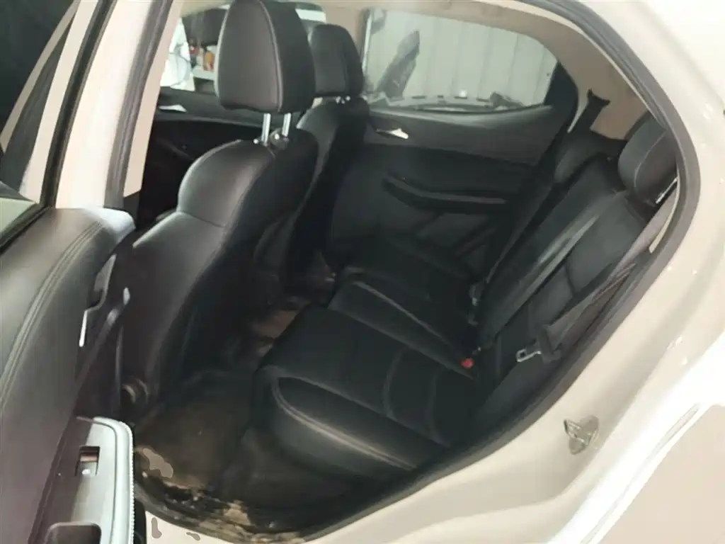 BYD Yuan New Energy 2019 EV535 Smart Connected Trend Leader Type фото 13