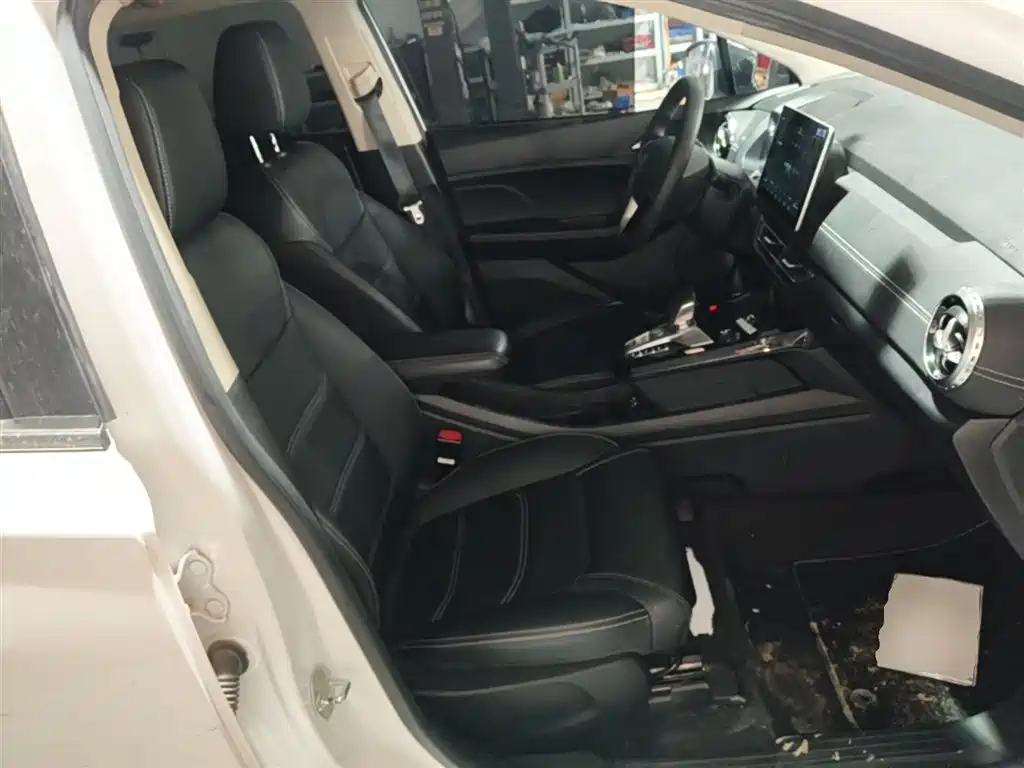 BYD Yuan New Energy 2019 EV535 Smart Connected Trend Leader Type фото 20
