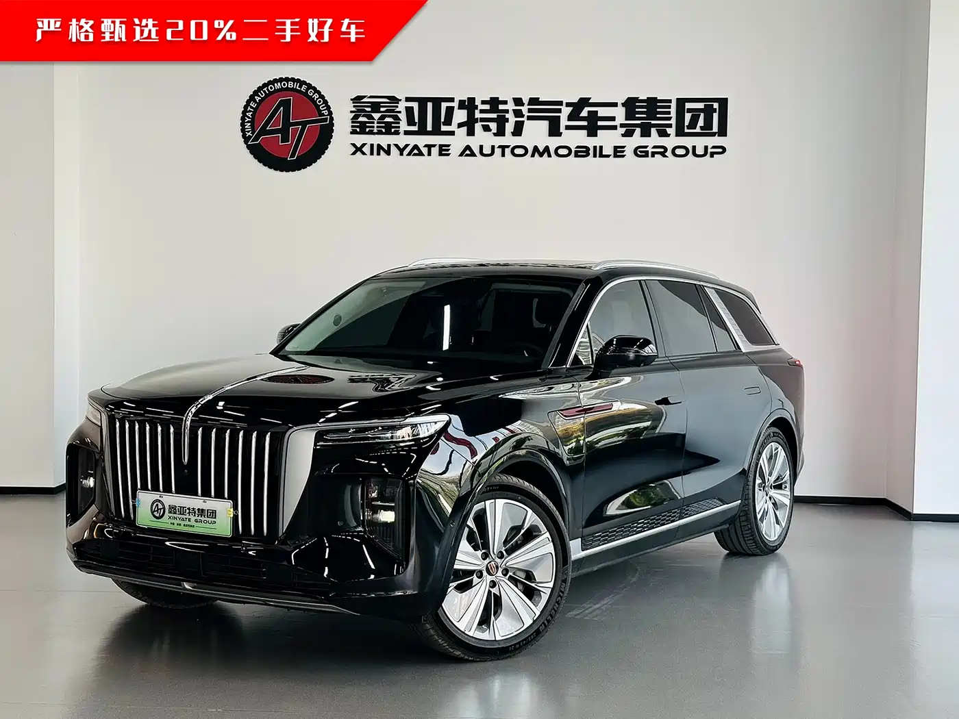 Hongqi HONGQI E HS9