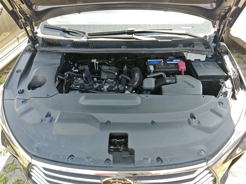 BYD Song MAX 2018 1.5T Auto Smart Connected Elite 6-Seater фото 20