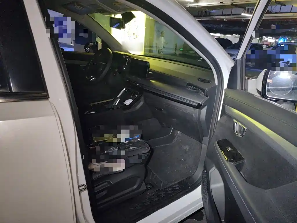 Wuling Motors Wuling Xingchen 2023 2022 2.0L DHT Electric Power Edition