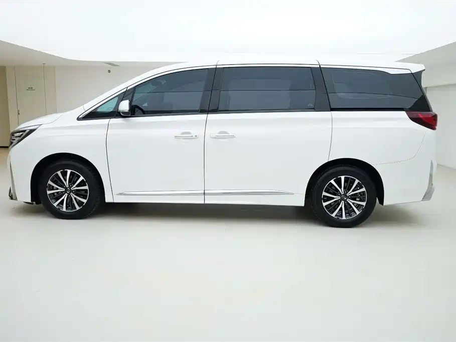 GAC Trumpchi Trumpchi M8 2021 Leading Show Series 390T Luxury Edition фото 3