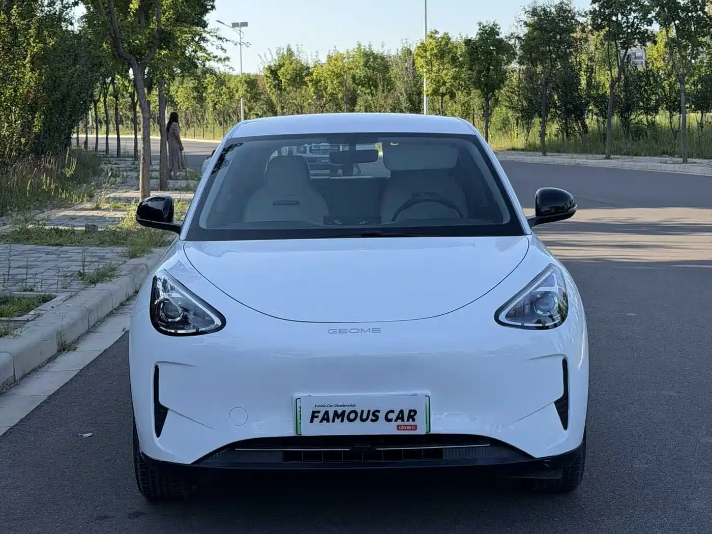 Geely Galaxy Starry Wish 2025 2025 310km Youth Edition